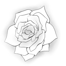 花1.png