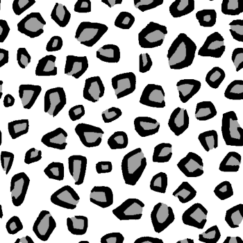 leopard02.png
